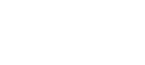 Eagle Eye Land & Aerial Surveying Solutions