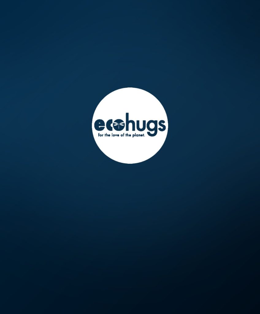 Ecohugs marketing case study