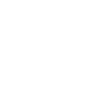 Ellie Mroz Design