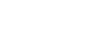 Fame Accessories logo