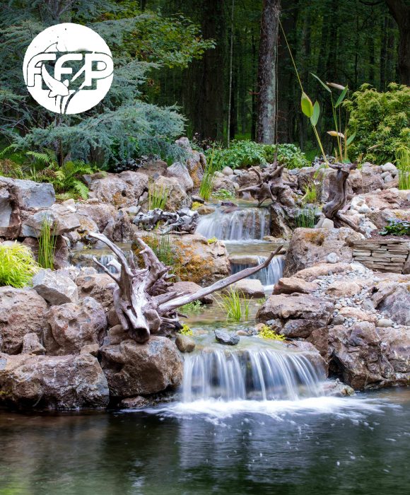 Fitz's Fish Ponds