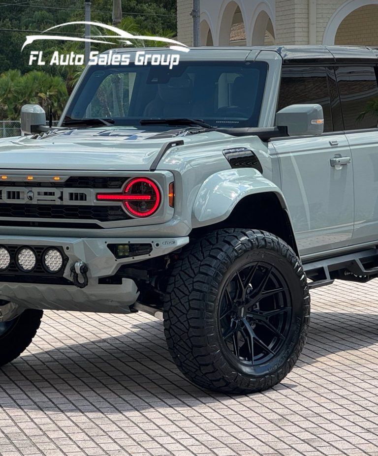 FL Auto Sales Group case study