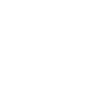 Foods of NY Tours logo