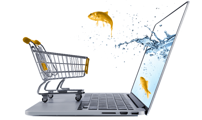 Win Customers With Ecommerce Development