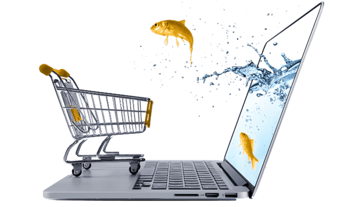 Get an ecommerce website that wins customers