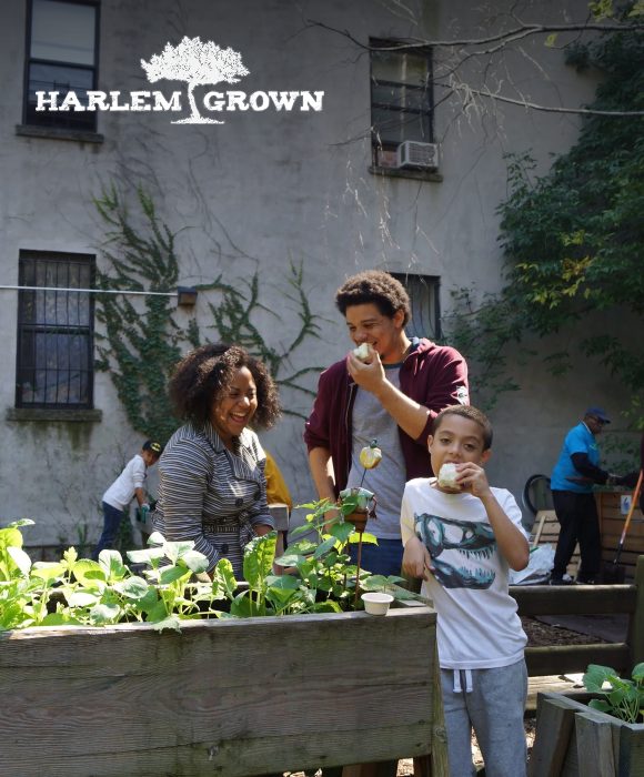 Harlem Grown marketing case study
