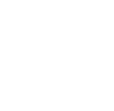 Haynes Manuals