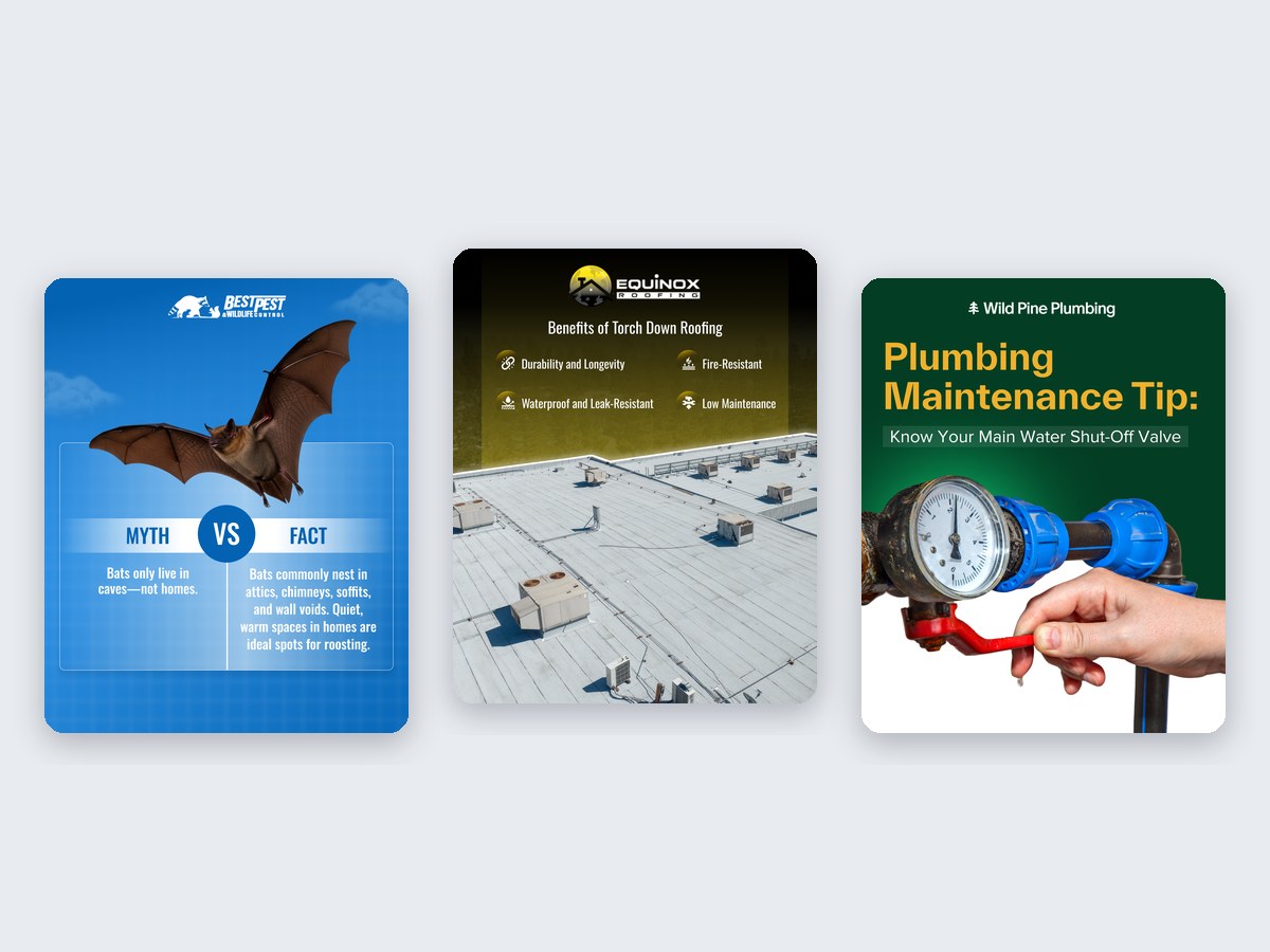 Myth-vs-fact, benefits and maintenance-tip graphics designed for Best Pest Wildlife, Equinox Roofing and Wild Pine Plumbing