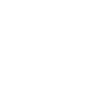 International Private Investigators