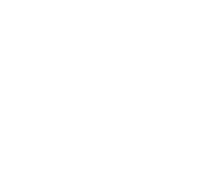 International Private Investigators