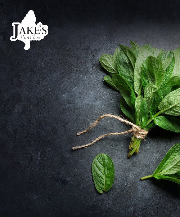 Jake's Mint Chew marketing case study