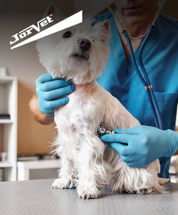 Jorvet case study