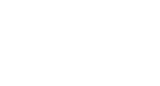 Kiwi Design
