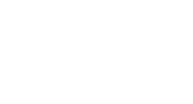 Kiwi Design