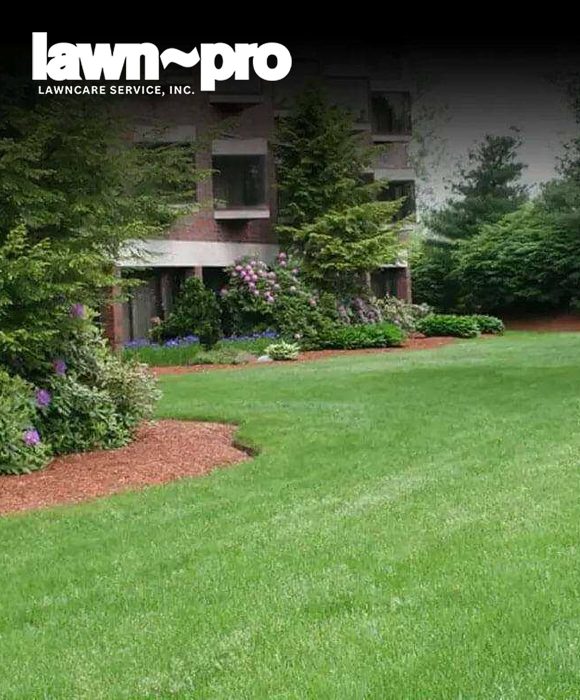 Lawn Pro