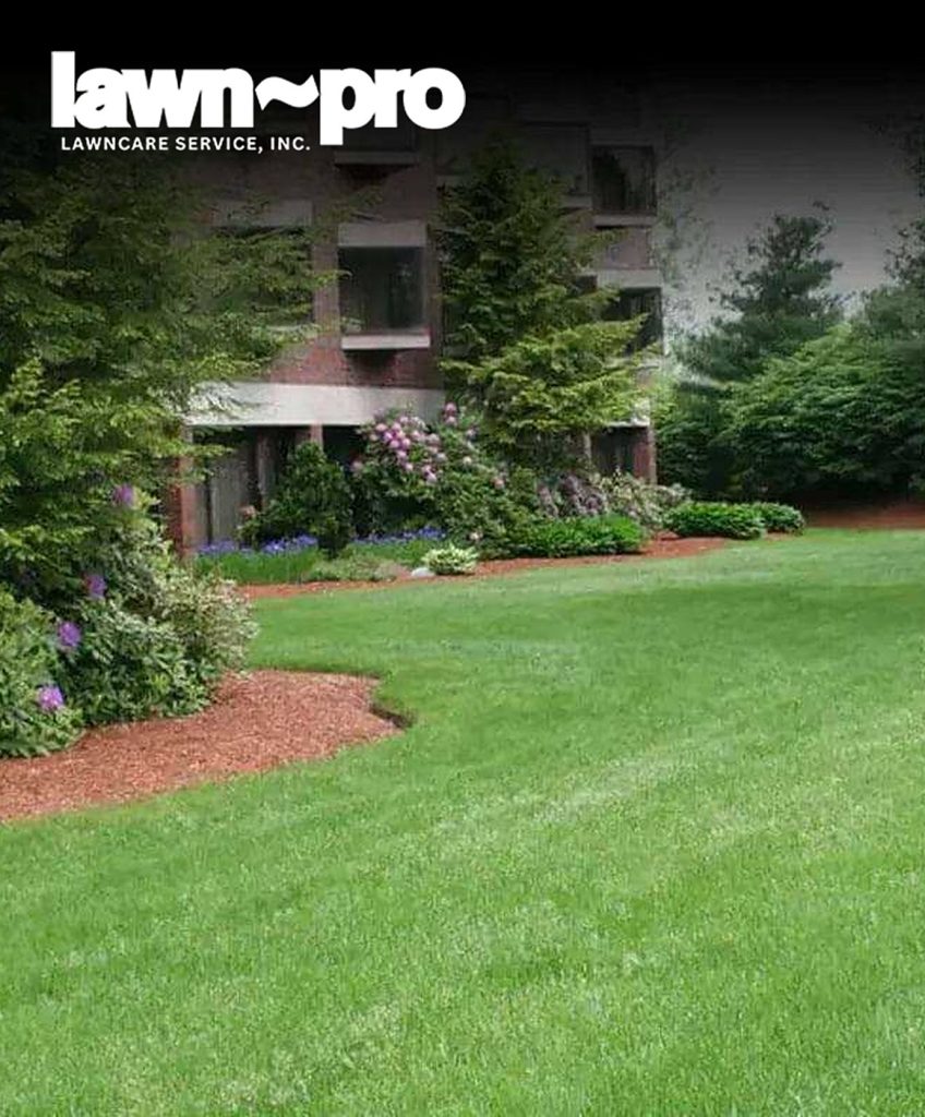 Lawn Pro marketing case study