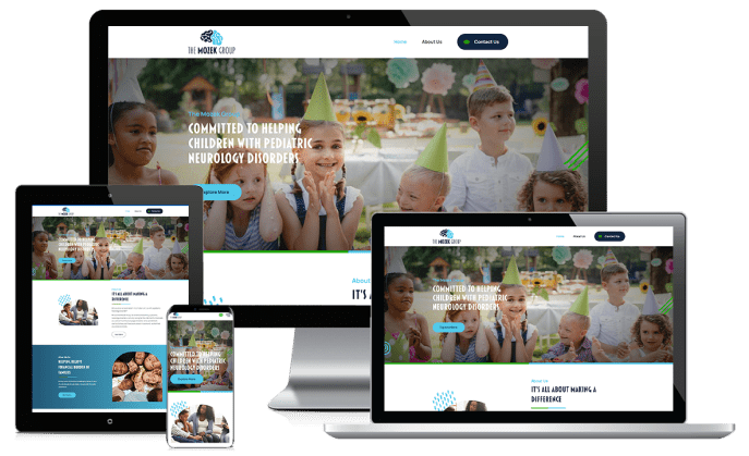 The Mozek Group website