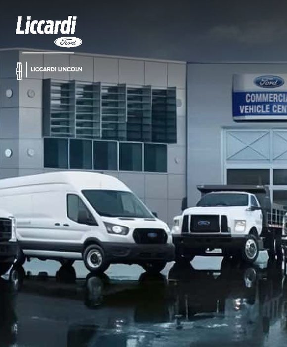 Liccardi Ford marketing case study