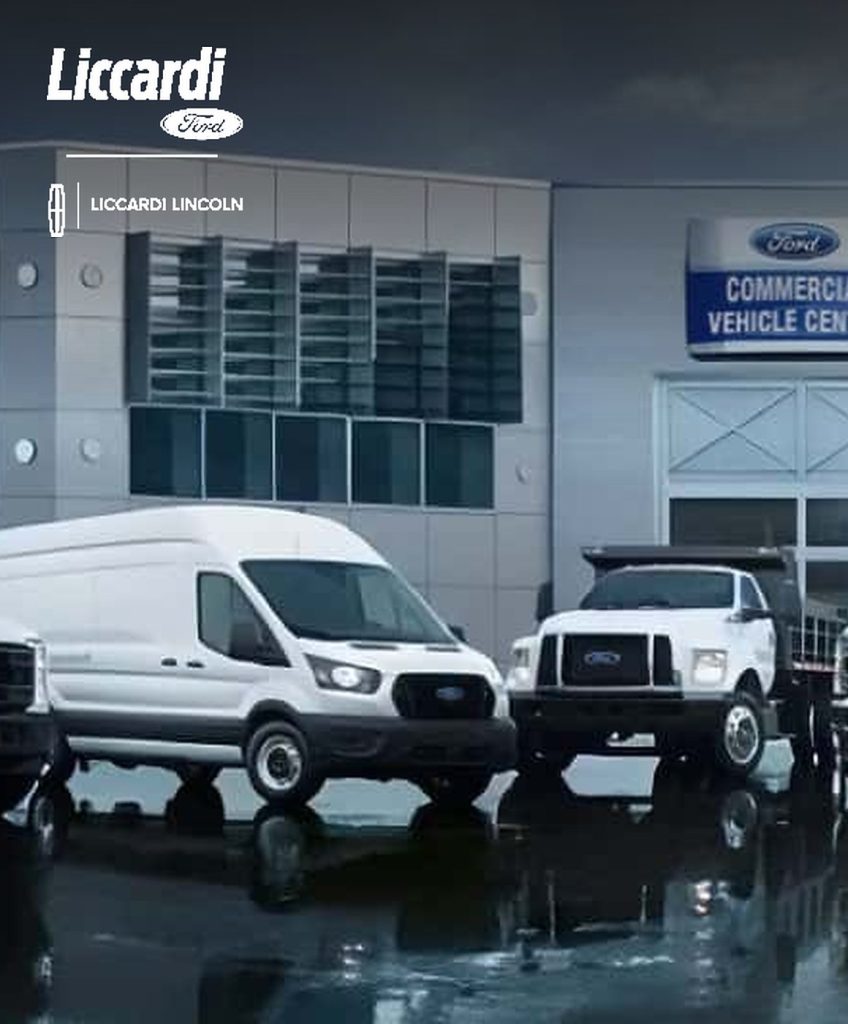 Liccardi Ford marketing case study