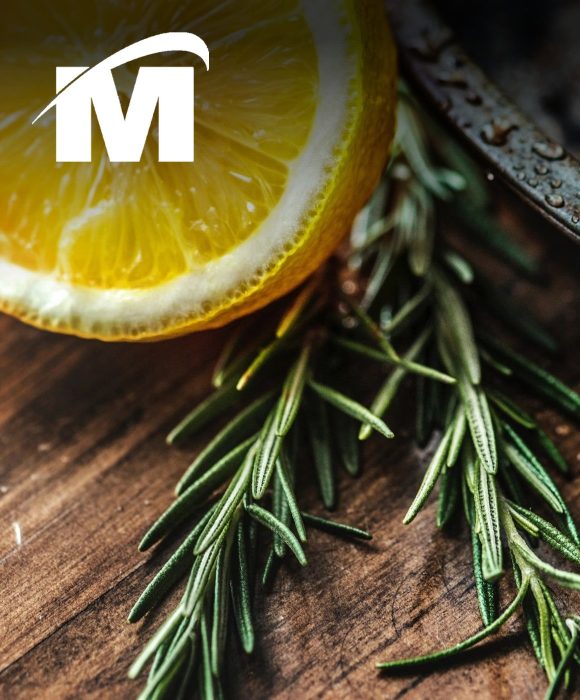 Mayer Group marketing case study