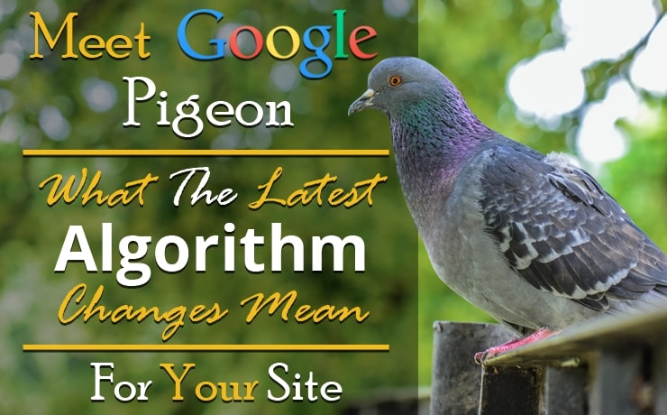 Meet Google Pigeon: What The Latest Algorithm Changes Mean For Your Site