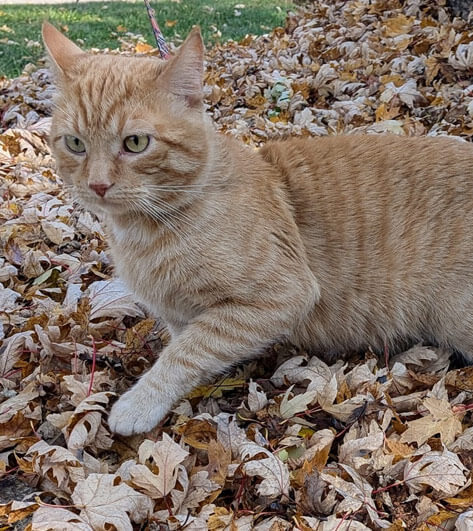 Meet Miss Wink, Ben Stewart