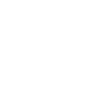 Metis Technology