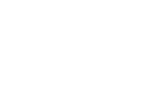 Metro Honda logo