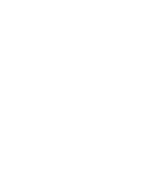 Miami Party Boats