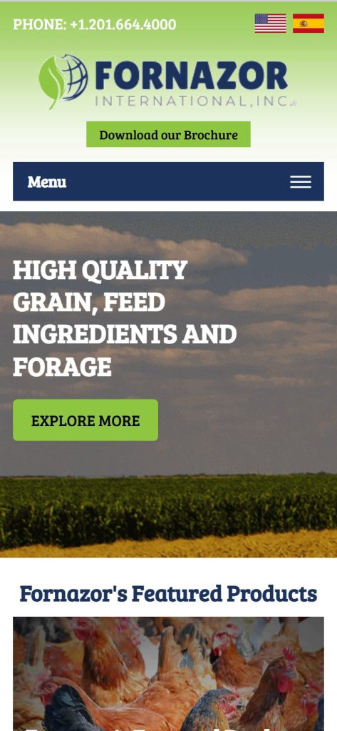 Fornazor International homepage on a phone