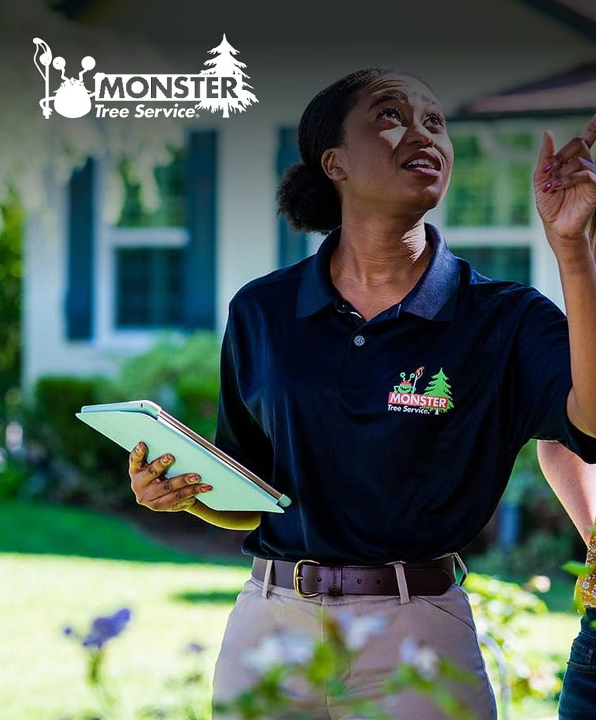 Monster Tree Service