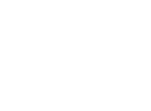 Nationwide Transport Solutions logo