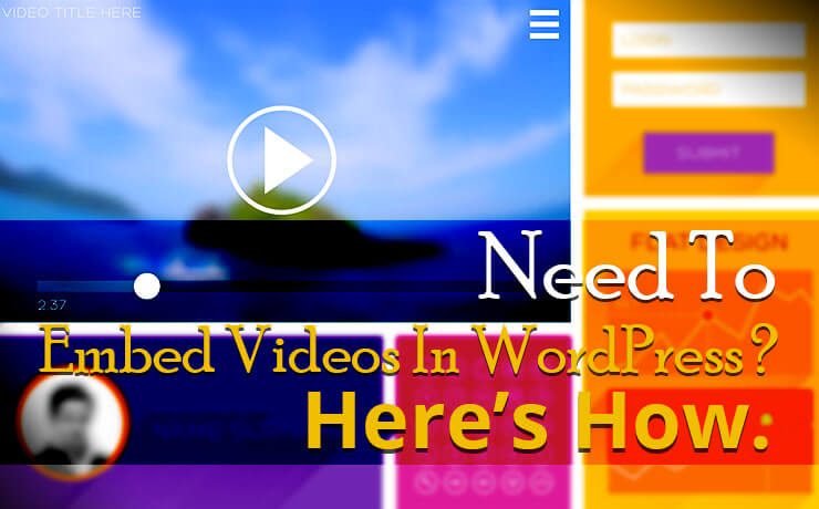 Need To Embed Videos In WordPress? Here's How.