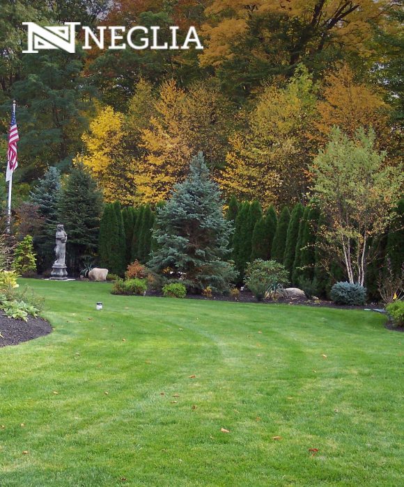Neglia Engineering Associates