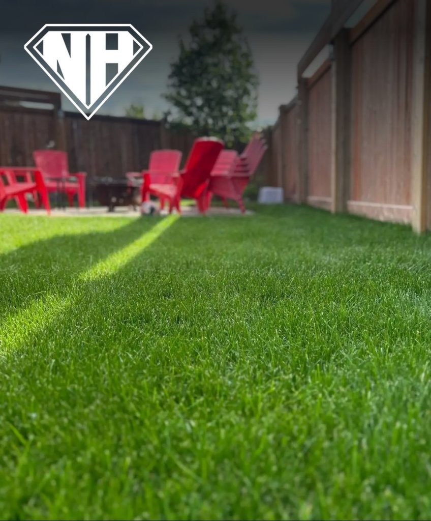 Neighbourhood Heroes marketing case study