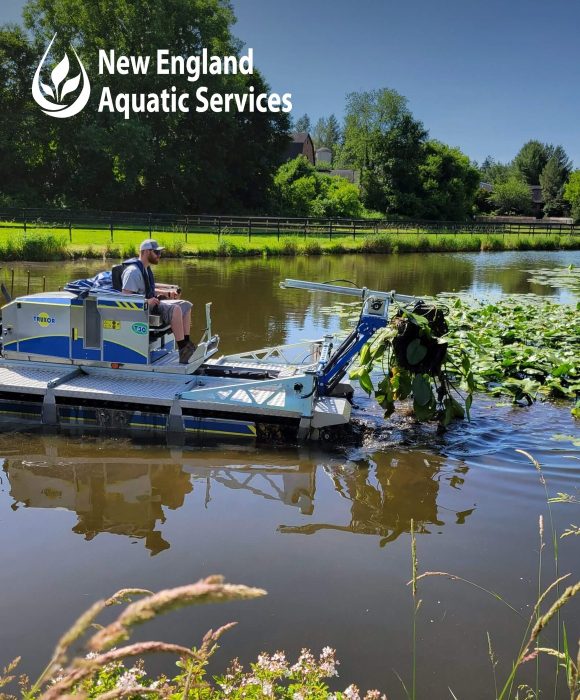 New England Aquatic Services marketing case study