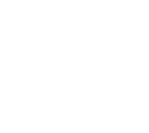 Newark Academy logo