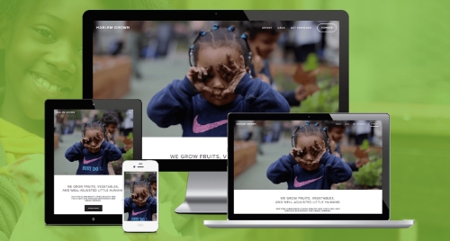 Non Profit Harlem Grown