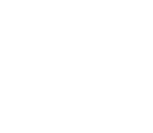 North Texas Allergy & Asthma Associates logo