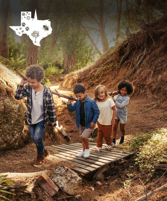 North Texas Allergy & Asthma Associates marketing case study