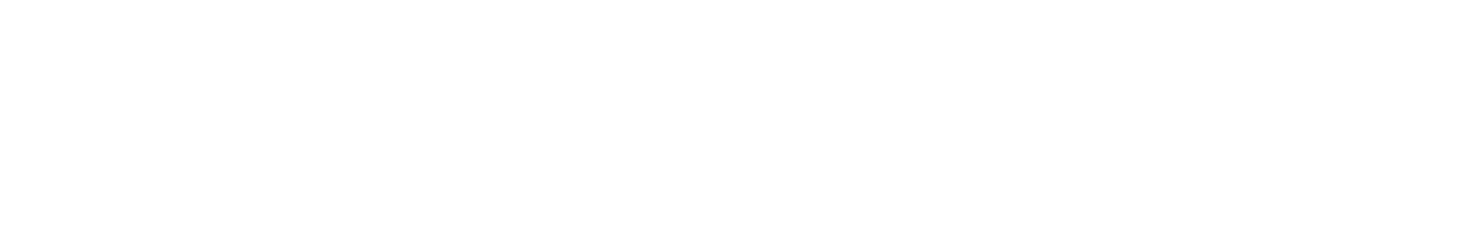 Opticaltel