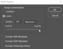 Photoshop WebP export options with lossless and lossy compression