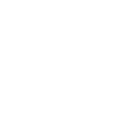 Optimum Moving logo