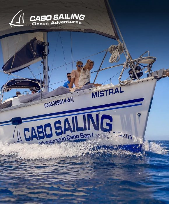 Pacificortez Sailing SA de CV marketing case study