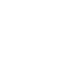 Performance Volvo logo
