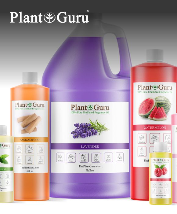 Plant Guru case study