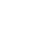 Port Washington Collision