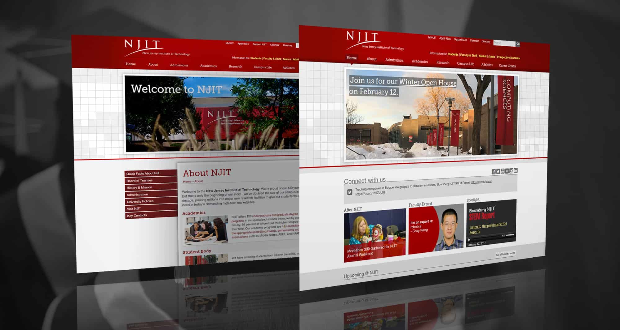 New Jersey Institute of Technology (NJIT) Digital Marketing & PPC Services