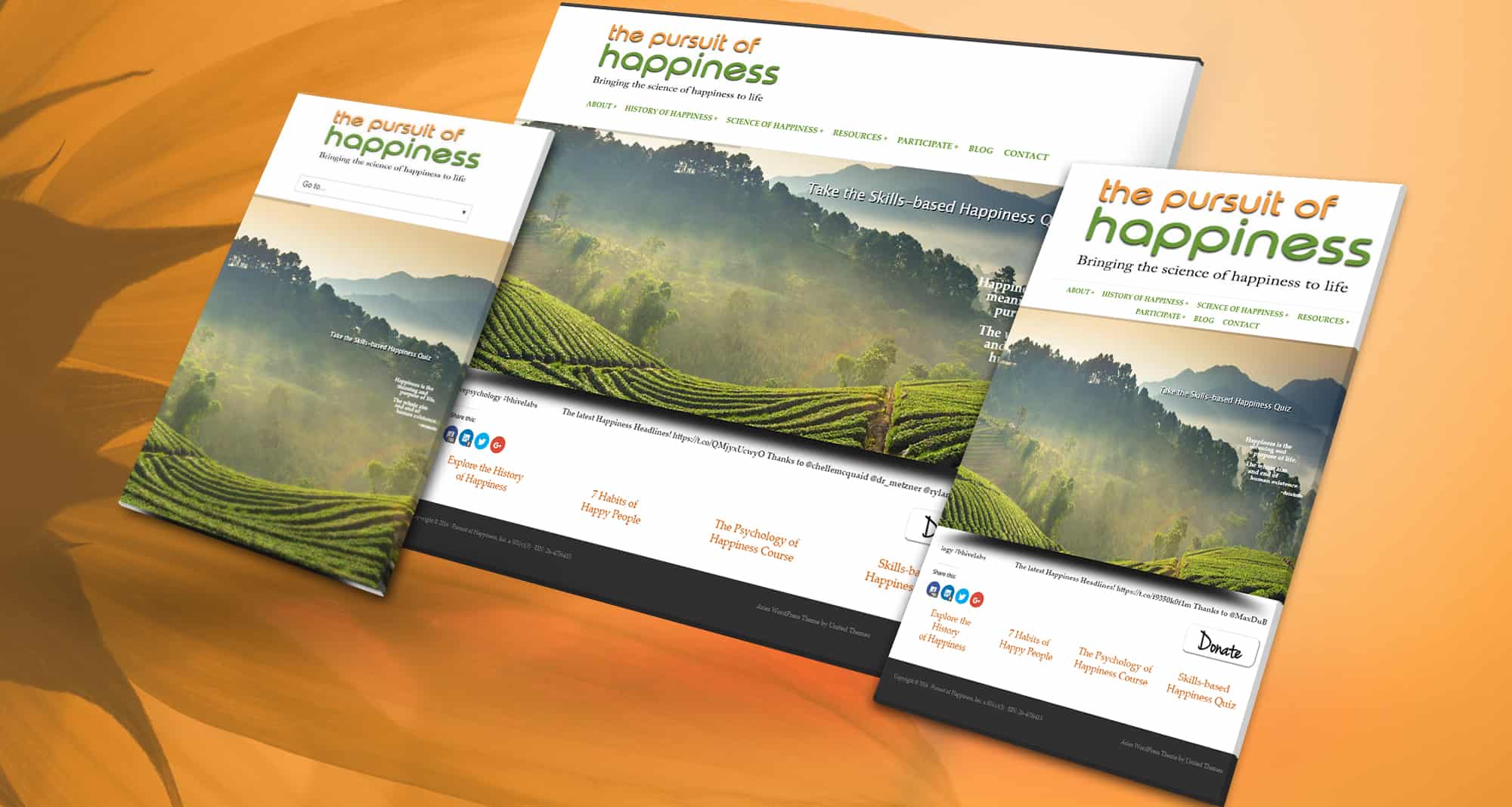 PPC NonProfit: Pursuit of Happiness - Take the Skills Based Happiness Quiz