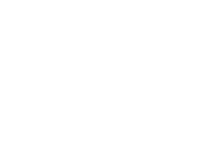 Progressive MMA